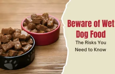 The 14 Major Disadvantages Of Wet Dog Food